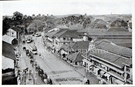 /data/Original Prints/Topography Views, City Views, Landscapes/BYCULLA BOMBAY.jpg